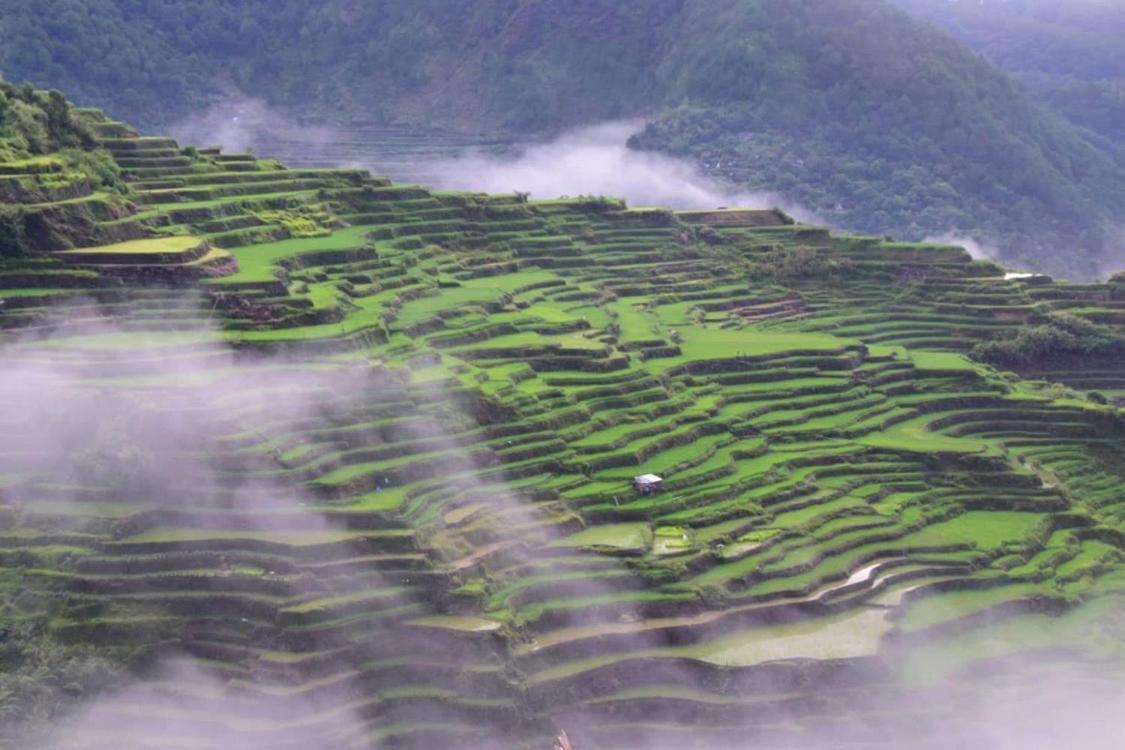Vilma'S Homestay Bontoc  المظهر الخارجي الصورة