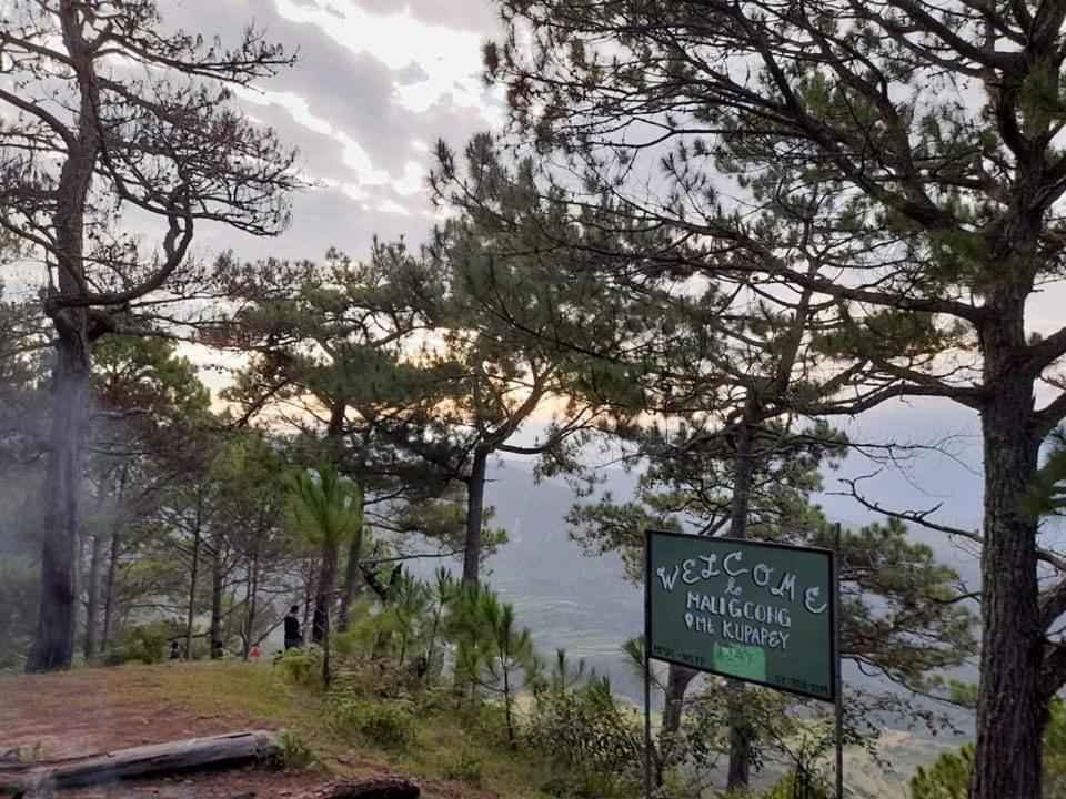 Vilma'S Homestay Bontoc  المظهر الخارجي الصورة